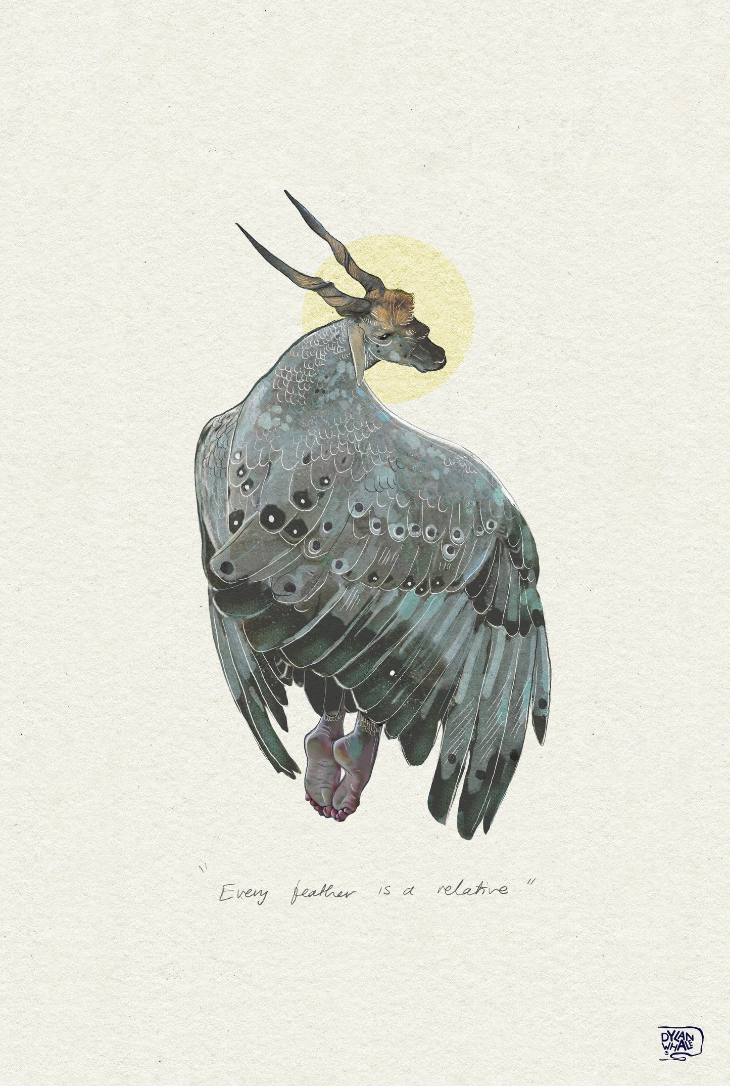 Every feather is a relative