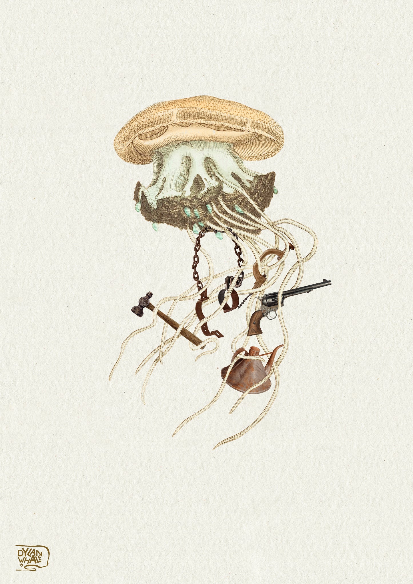 Forces that changed the bay