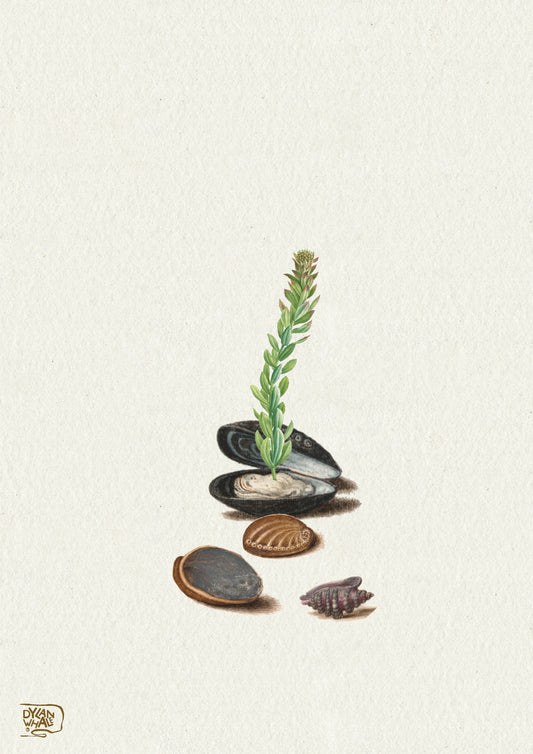 Interconnected worlds